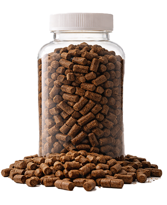Fish Feed Product