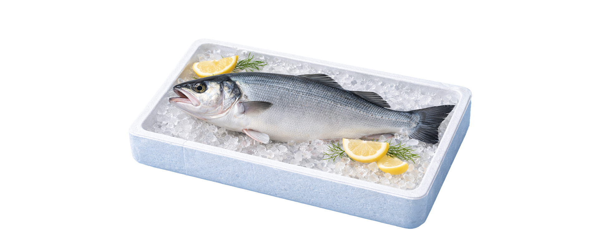 Seabass Export Packaging